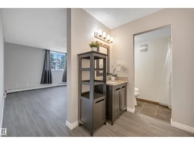 #101 18204 93 AV NW photo 17