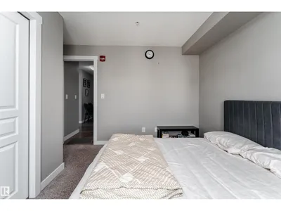 Larkspur photo 18