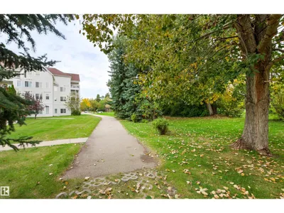 #206 78 MCKENNEY AV photo 65