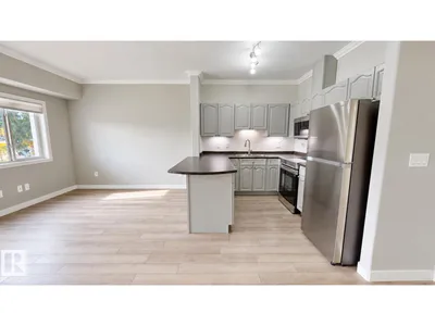 #203 8528 82 AV NW photo 9
