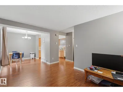 #50 4610 17 AV NW photo 9