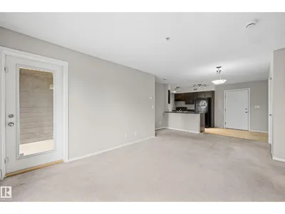 #215 11804 22 AV SW photo 15