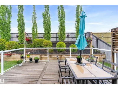 484 FOXTAIL CO photo 61