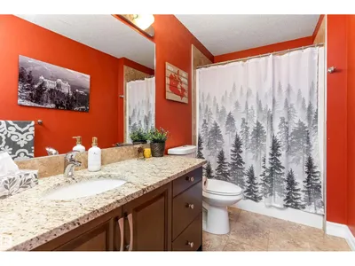 484 FOXTAIL CO photo 29