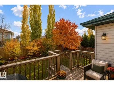 208 Rainbow CR photo 41