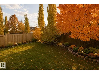 208 Rainbow CR photo 46