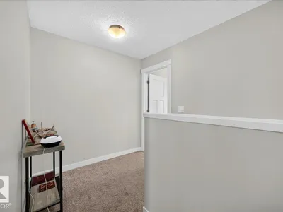 100 MEADOWLAND CR photo 25