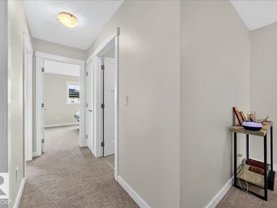 100 MEADOWLAND CR photo 26