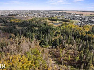 16115 34 AV SW photo 54