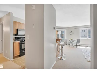 #217 10403 98 AV NW photo 5