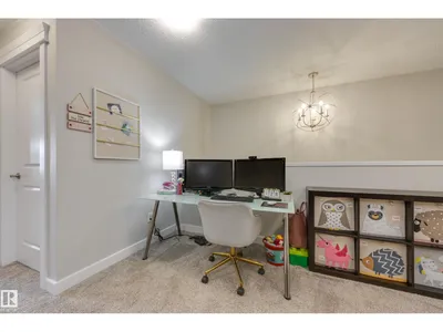 9932 223 ST NW photo 21
