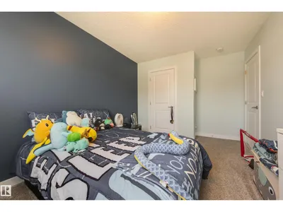 9932 223 ST NW photo 31