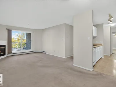 #339 17447 98A AV NW photo 20