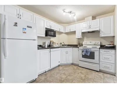 #117 111 EDWARDS DR SW photo 9
