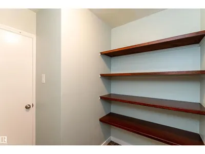 #5 8807 101 ST NW photo 39