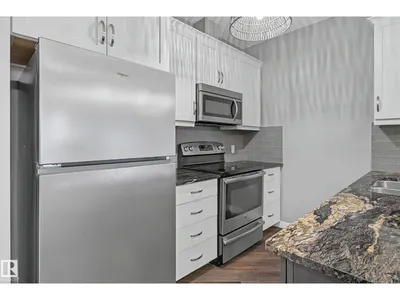 #410 1004 ROSENTHAL BV NW photo 11