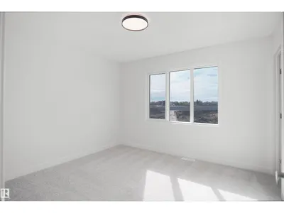 21219 25 AV NW photo 17