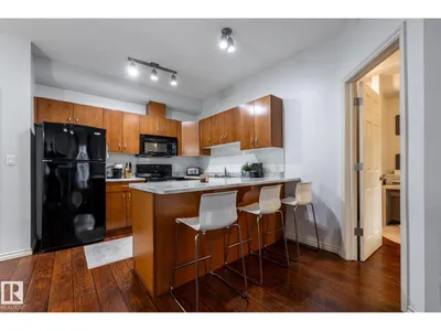 #217 10235 112 ST NW photo 31
