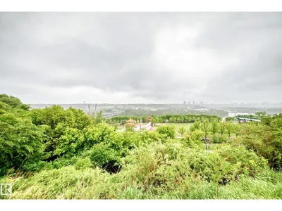 #414 9507 101 AV NW photo 20