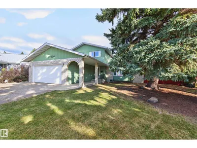 10706 33A AV NW photo 63