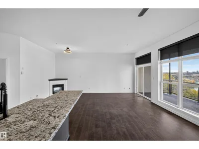 #412 9503 101 AV NW photo 12