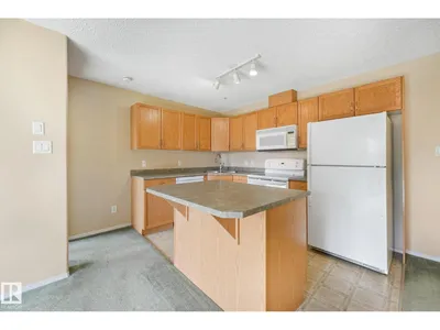 #204 16303 95 ST NW photo 7