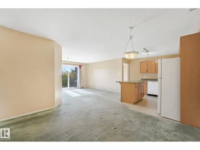 #204 16303 95 ST NW photo 15