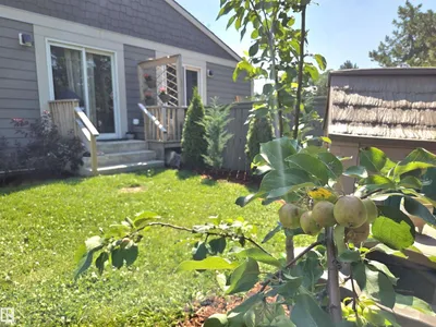 623 Willow CO NW photo 38
