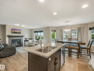 219 SILVERSTONE CR photo 9