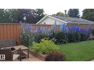 5310 18A AV NW photo 49