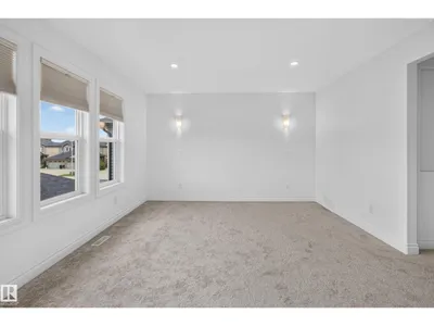 2250 ASPEN TR photo 32