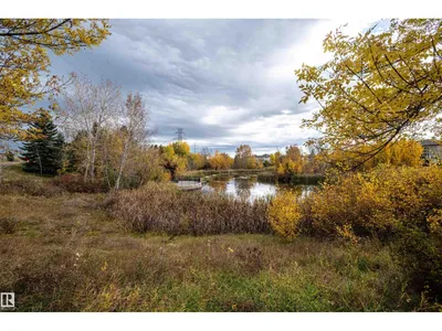 #223 2903 RABBIT HILL RD NW photo 51