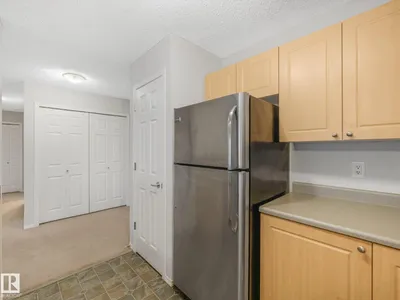#202 10403 98 AV NW photo 39