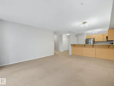 #202 10403 98 AV NW photo 29