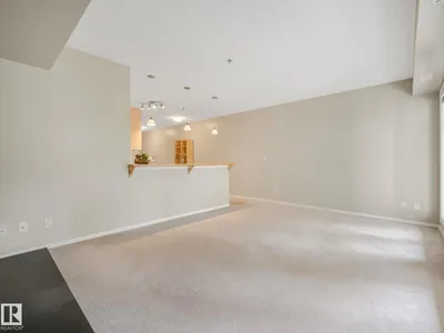#150 4827 104A ST NW photo 13