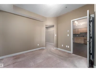 #316 10530 56 AV NW photo 39