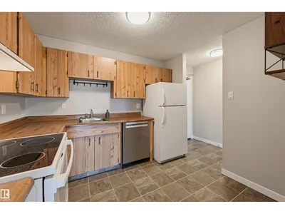 #408 17820 98 AV NW photo 10