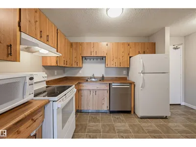 #408 17820 98 AV NW photo 11