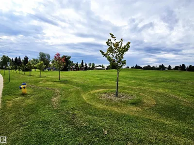 3104 32 AV NW photo 50