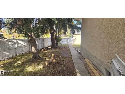 2 Wren CR photo 32