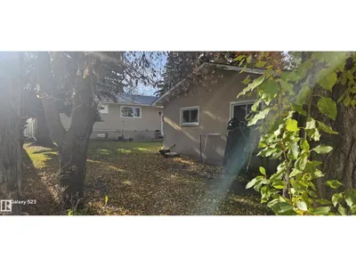2 Wren CR photo 36