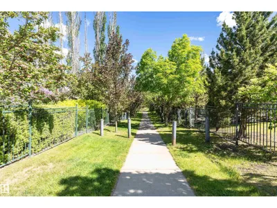 12051 18 AV SW SW photo 34