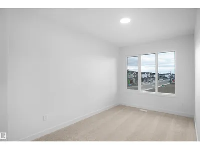 2258 194A ST NW photo 28
