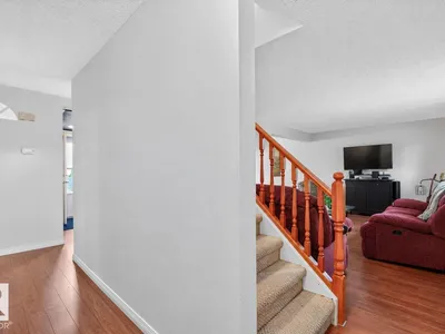 43 MORELAND CR photo 20