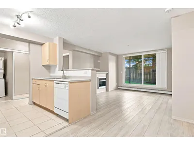 #117 17011 67 AV NW photo 15