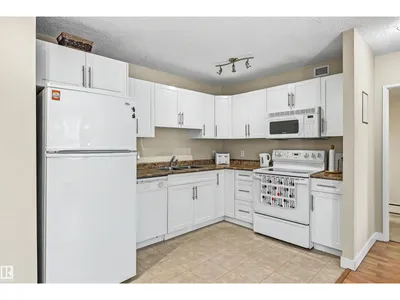 #309 9710 105 ST NW photo 14