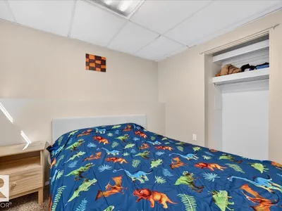 39 MCNABB CR photo 39