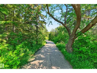 #425 400 PALISADES WY photo 60