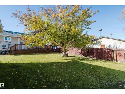 67 STARLING DR photo 41